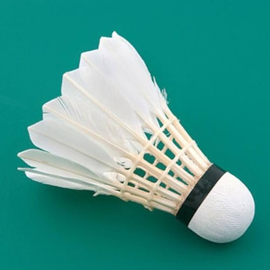 High Quality Badminton Shuttlecocks – Buy Online at ProBadminton