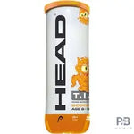 HEAD TIP II Tenniss Balls - Best Price in India