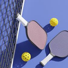 Pickleball India – Top Models, Features & Full Gear Guide