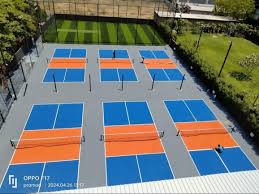 Pickleball Paddle Power Up! Top Picks for Every Player at Probadminton.in