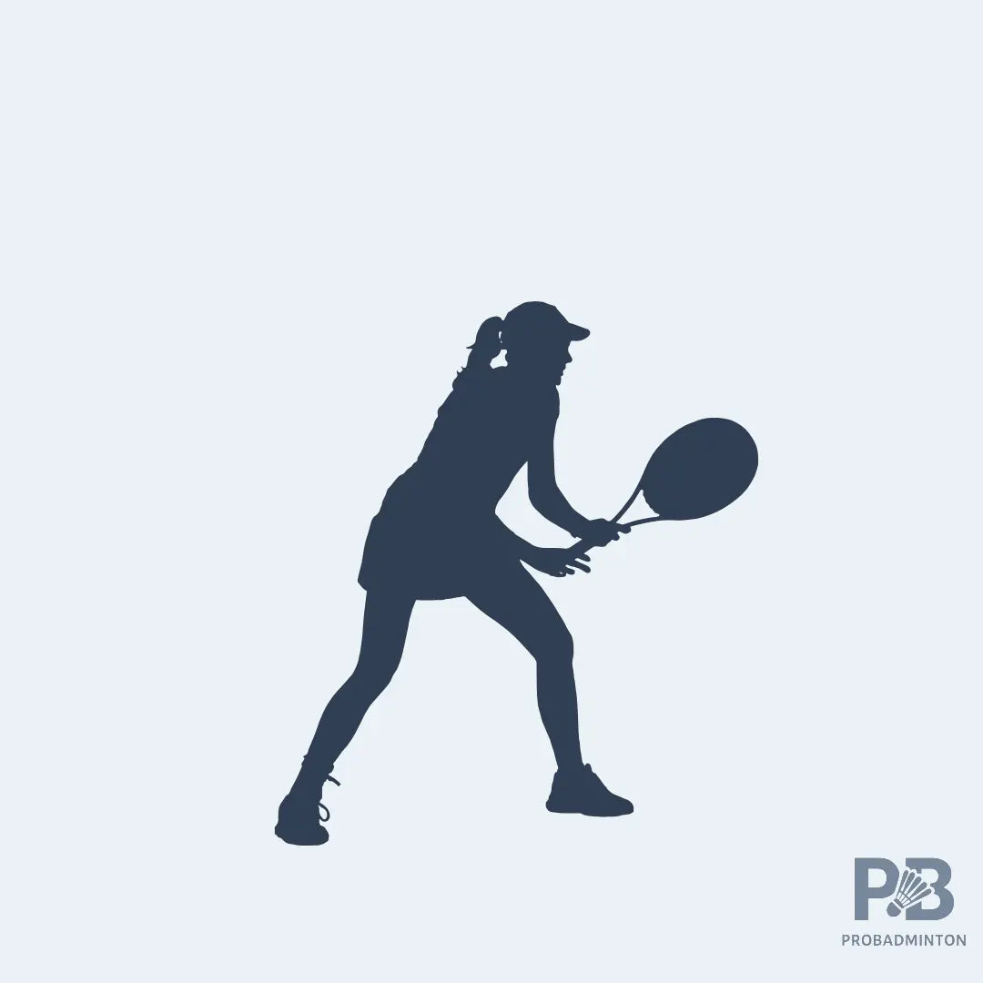 Tennis accessories collection – dampeners, grips, wristbands & more 