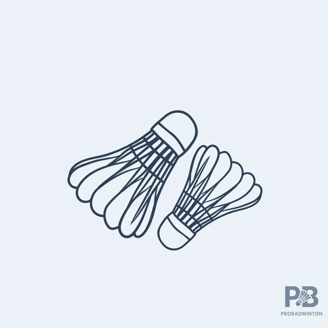 Badminton shuttlecock