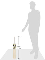 SG Sierra Plus Kashmeer Willow Cricket Bat – Lightweight Criket Bat for Adults