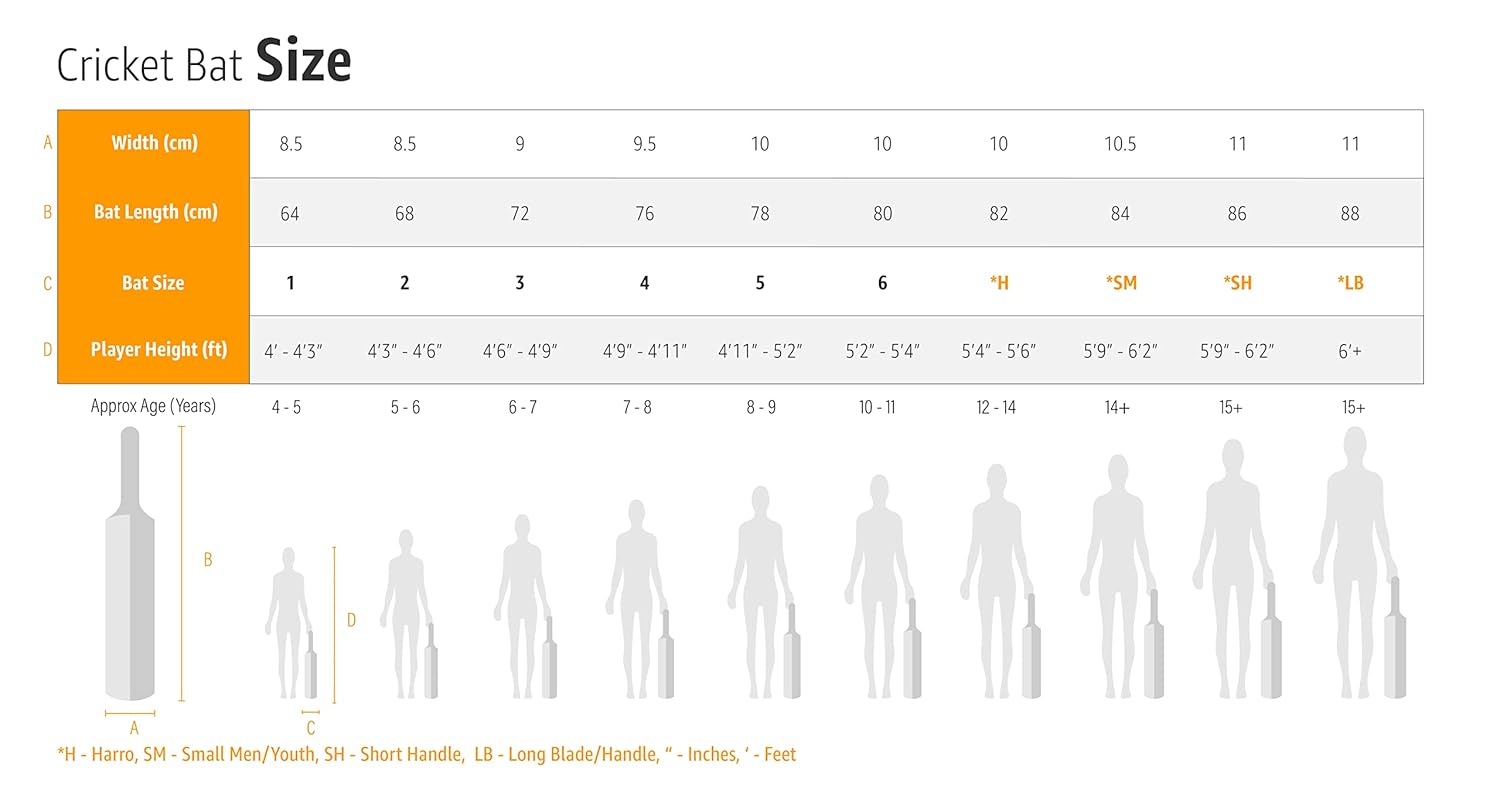 SG Sierra Plus Kashmeer Willow Criket Bat – Premium Willow Wood Bat