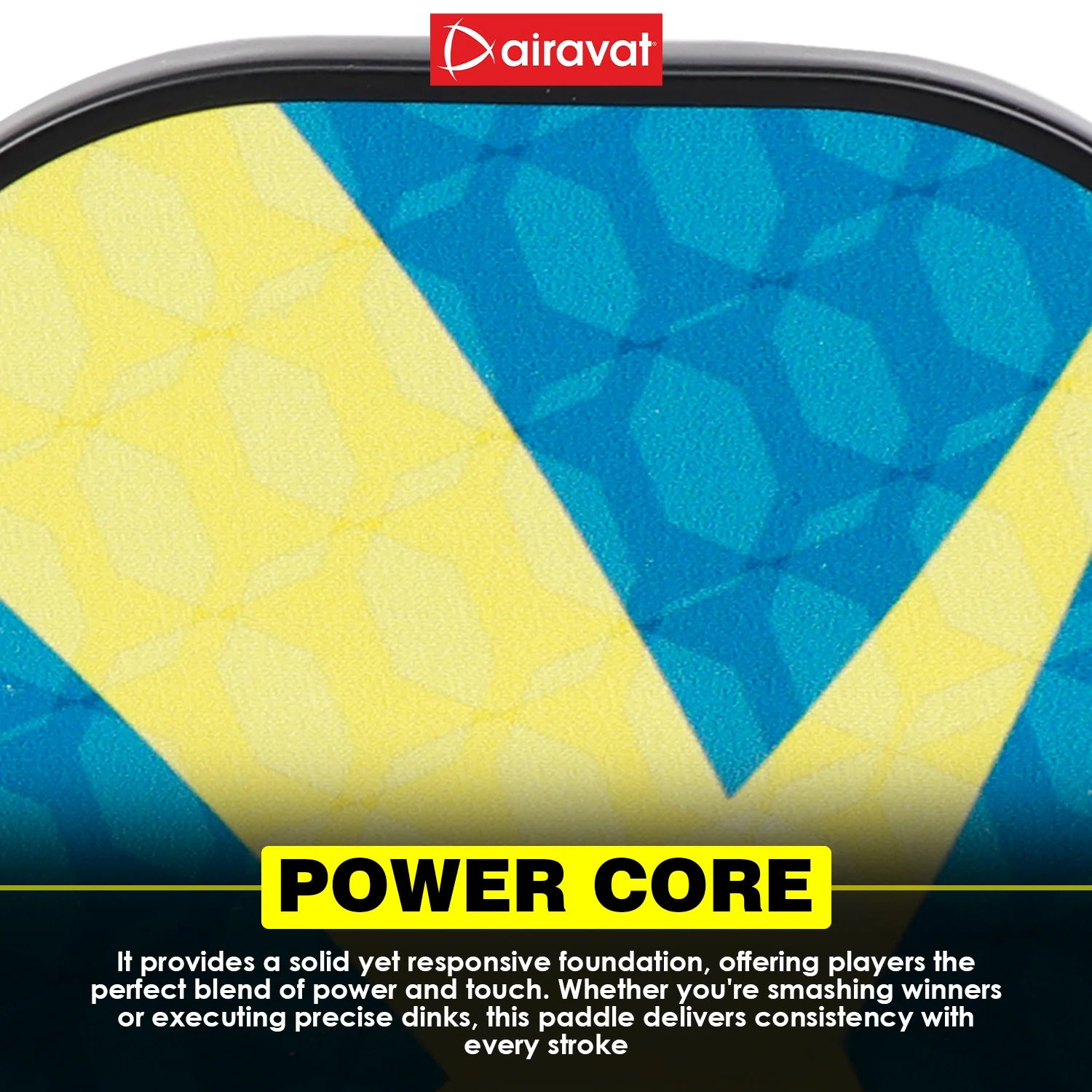 Portable Airavat Prix Pickleball Paddle Set with Fiberglass Surface & Durable Bag | ProBadminton.in