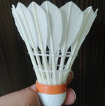 Beginner Friendly Feather Shuttle for Training – Acers Grad A Shuttlecock