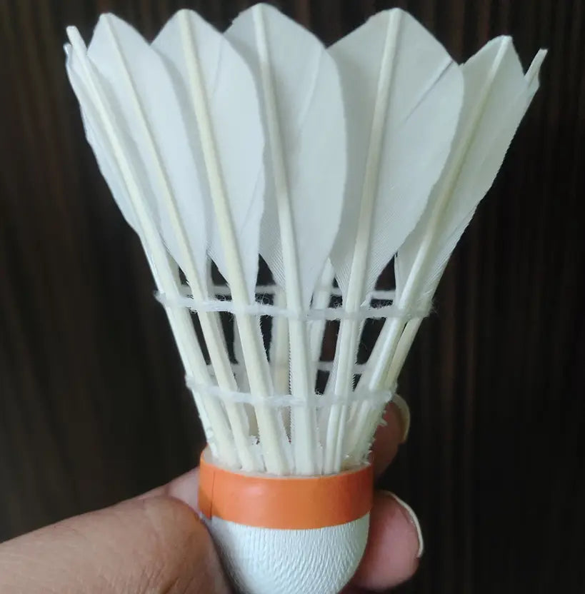 Beginner Friendly Feather Shuttle for Training – Acers Grad A Shuttlecock