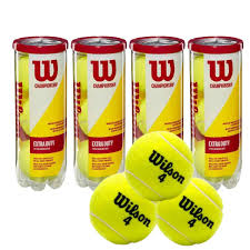 Wilson Chamiponship Tenes Ball – Top Tenis Ball Price in India for Hard Courts