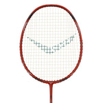 probadminton-in-transform-hydra-super-power-racket-for-advanced-players.jpg

